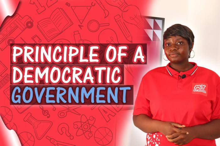 Principles Of a Democratic Government - An In-Depth Overview