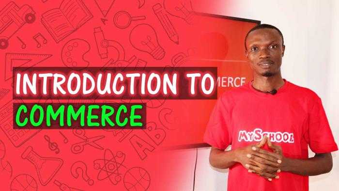 Introduction To Commerce - What They Don't Tell You