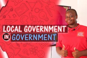Local government - Definition/Function/Problems/Solutions/Control e.t.c