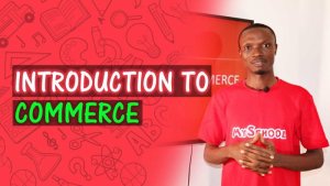 Introduction To Commerce - What They Don't Tell You