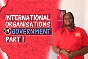 International Organisations I (PART 1)