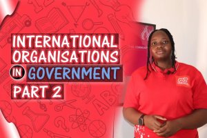 International Organisations I (PART 2)