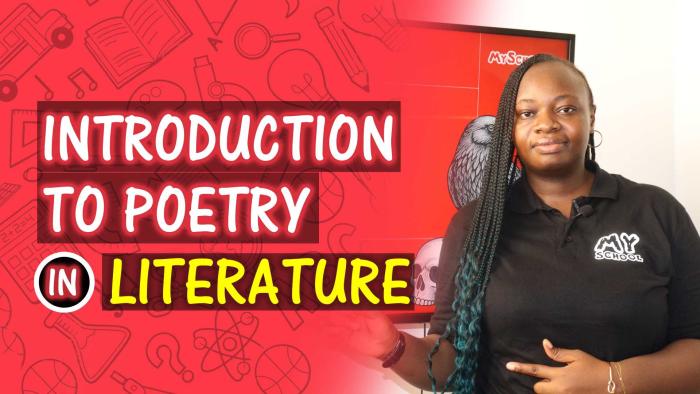 Introduction To Poetry (Definition, Characteristics and Elements)