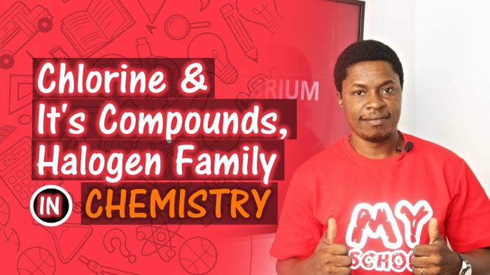 Chlorine And Its Compounds (Halogen Family)