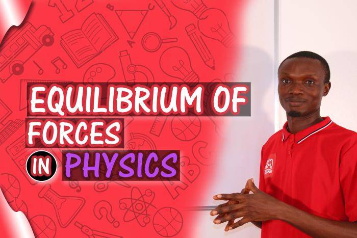 EQUILIBRIUM OF FORCES - Explained
